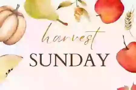 Harvest Sunday Lunch